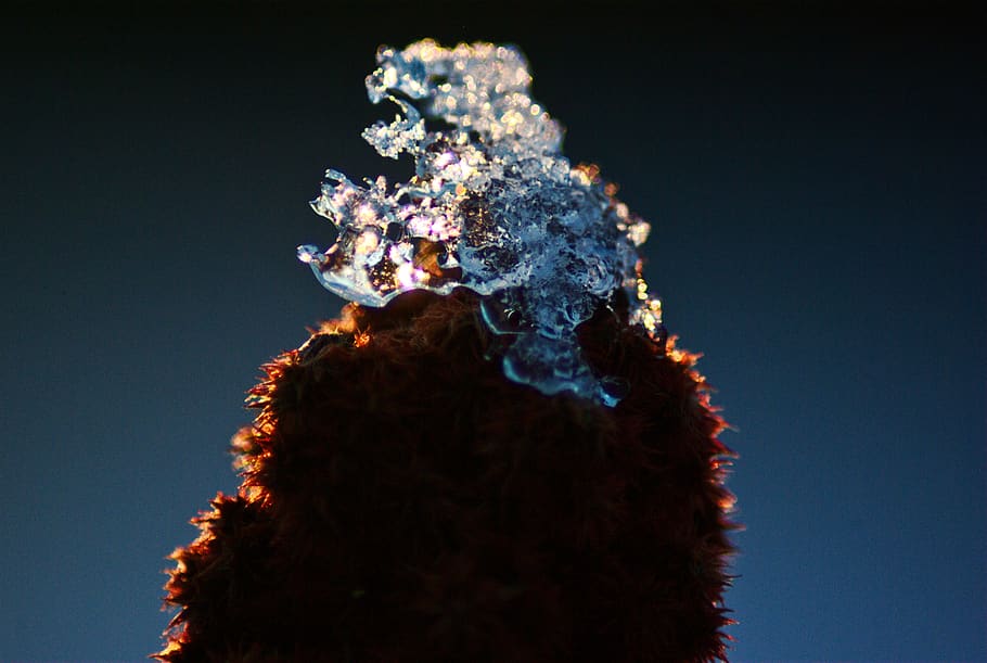 crystals, ice, flower, winter, cold, frozen, gel, nature, snow HD wallpaper