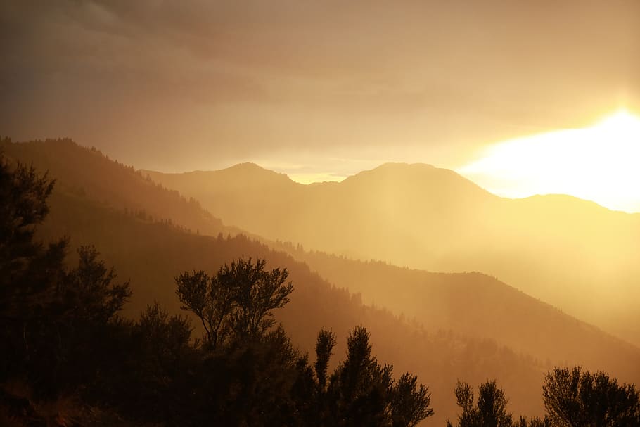 background, sunset, gold, forest, mountain, tree, tranquility HD wallpaper