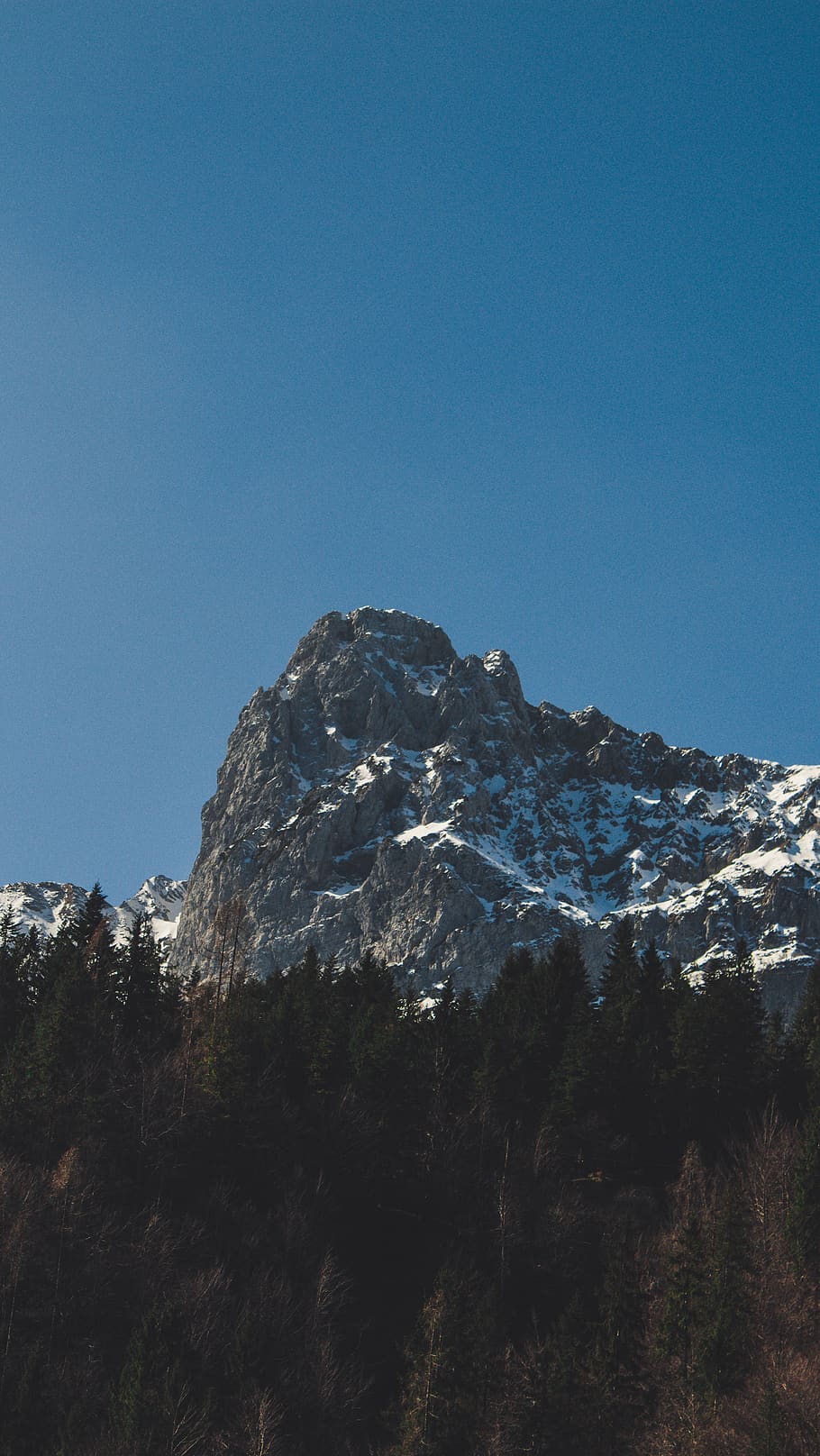 snow mountain, nature, fir, abies, tree, plant, outdoors, mountain range HD wallpaper