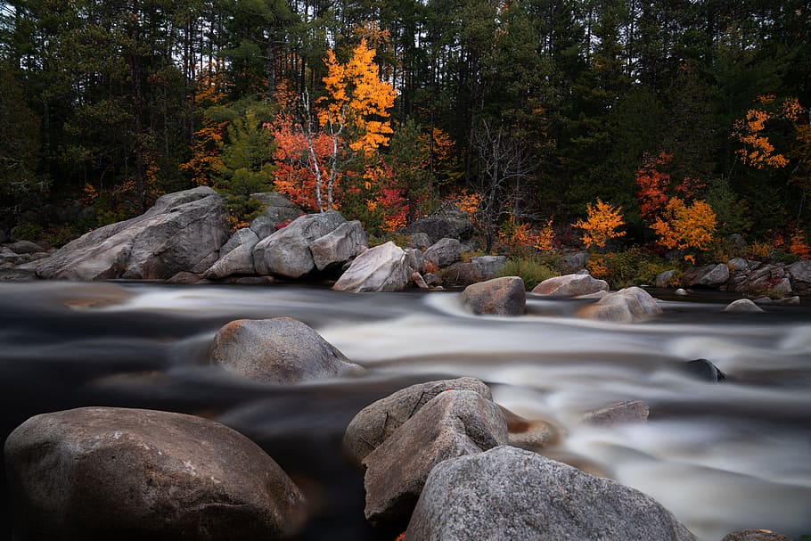 waterfalls, rock, tree, forest, woodland, outdoors, long exposure HD wallpaper