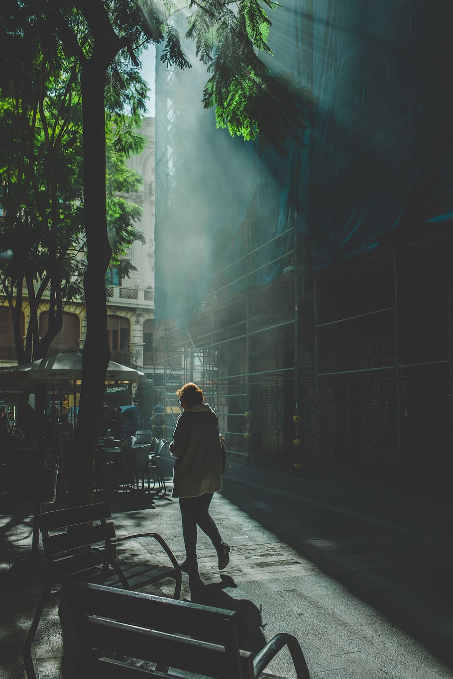 man walking near bench, one person, real people, rear view, tree HD wallpaper