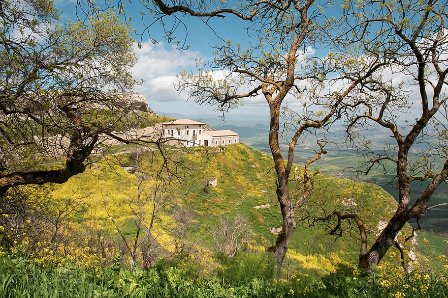 enna, italy, spring, sunny, blue sky, sicilia, old trees, house HD wallpaper