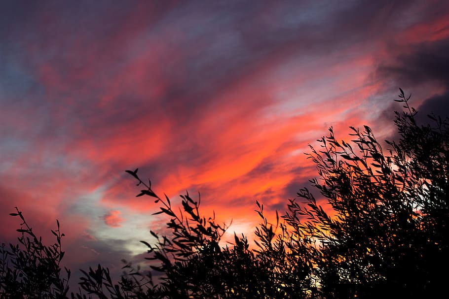 Brown Clouds during Sunset, backlit, bright, dawn, dusk, evening HD wallpaper