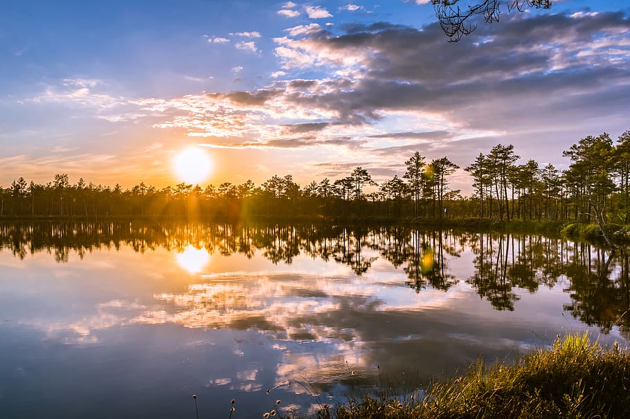 Body of Water Surrounded With Green Trees, clouds, dawn, environment HD wallpaper