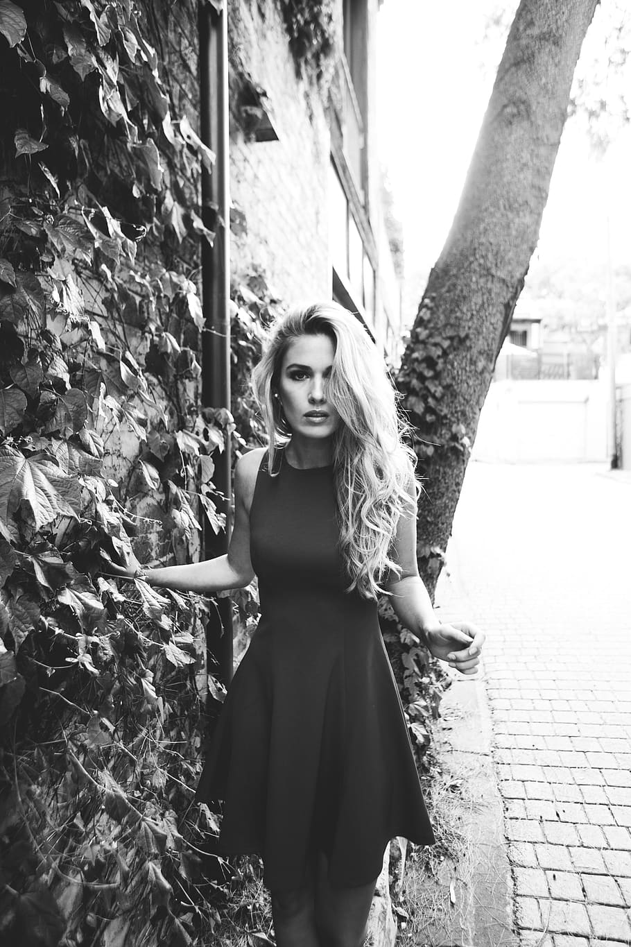 australia, surry hills, model, modeling, urban, city, tree HD wallpaper
