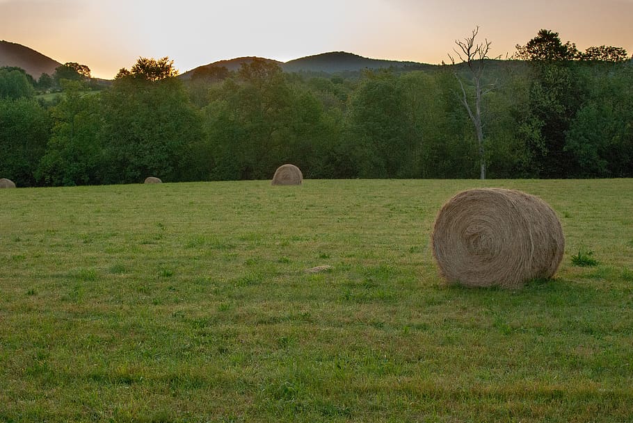 landscape, field, hills, dawn, nature, sky, summer, wild, sunrise HD wallpaper