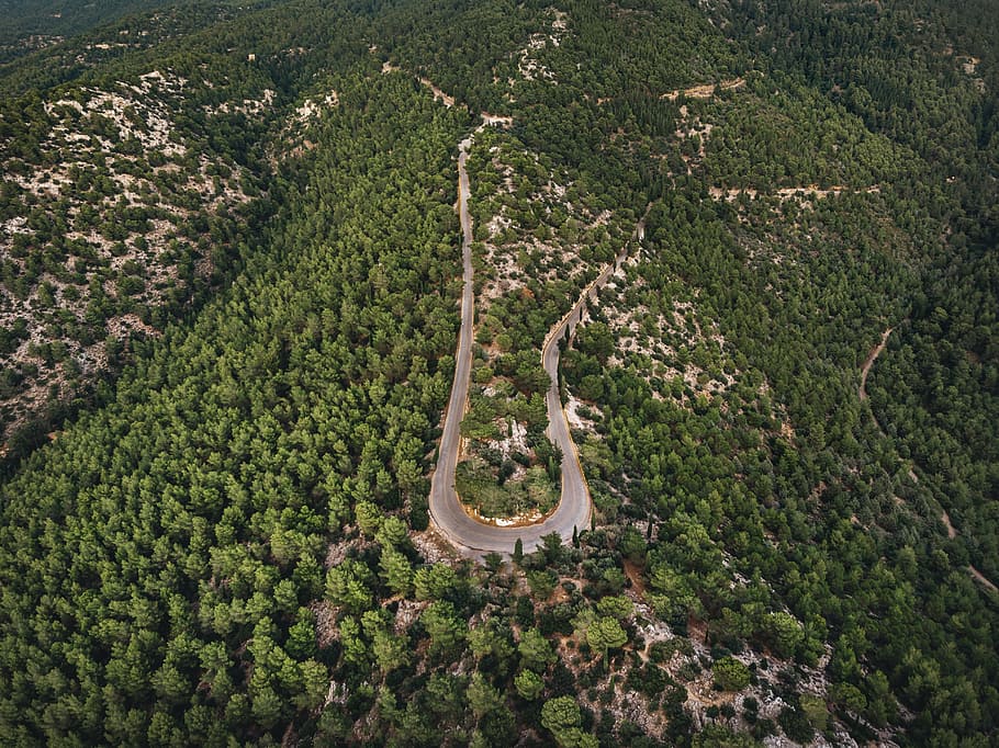 aerial view of road surrounded by trees, drone view, forest, woodland HD wallpaper