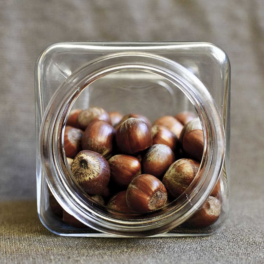 hazelnuts, jar, brown, brown nuts, healthy snack, vitamins HD wallpaper