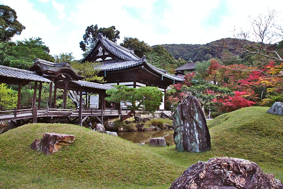japan, kyoto, temple, garden, autumn, leaves, plant, architecture, HD wallpaper
