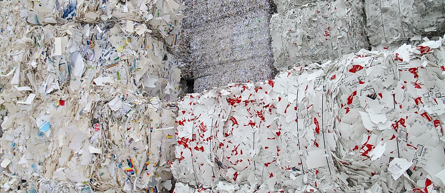 netherlands, rotterdam, shredded, recycling, recycle, paper
