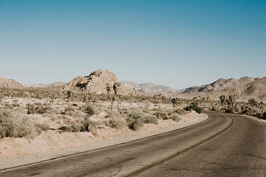 gray road, desert, dirt road, gravel, joshua tree national park HD wallpaper