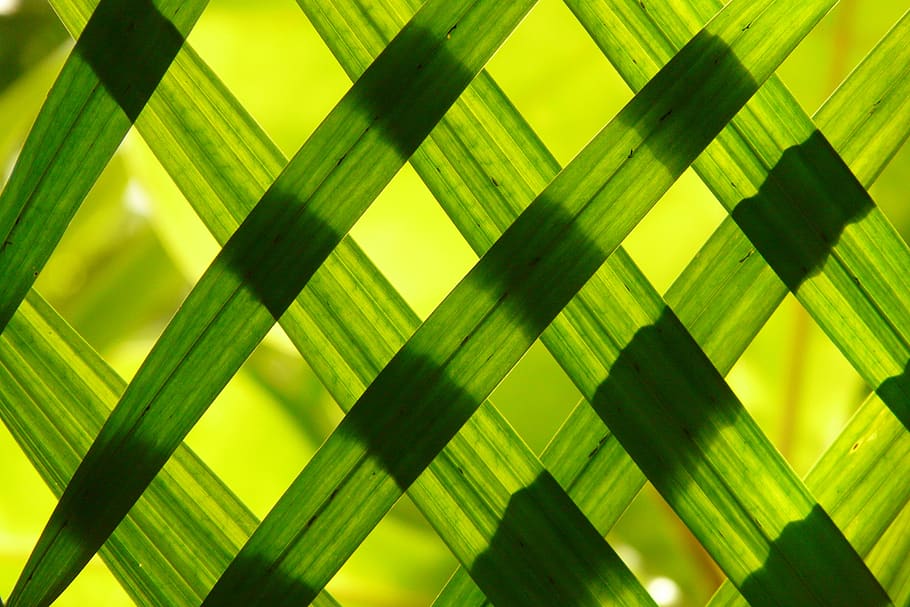 Green Woven Frame, art, checked, design, flora, grass, growth HD wallpaper
