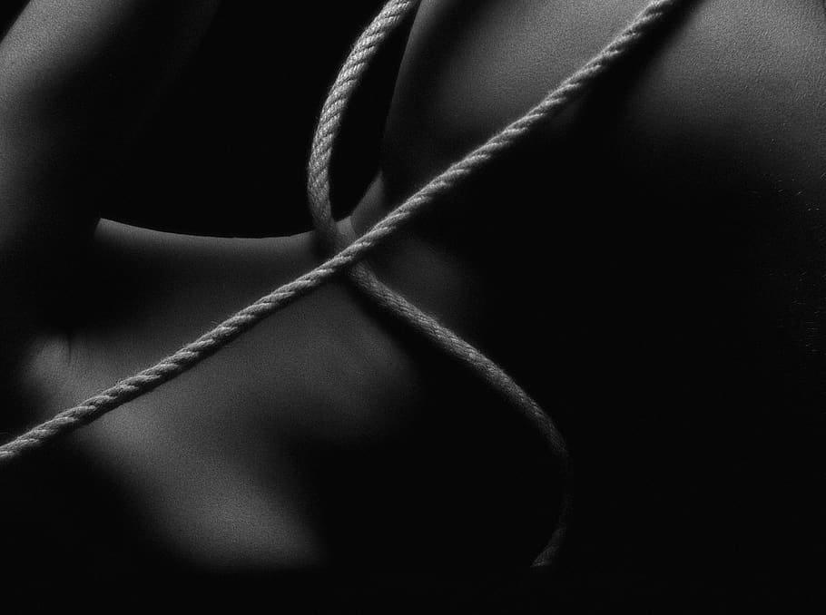 ukraine, kyiv, close-up, studio shot, indoors, no people, black background HD wallpaper