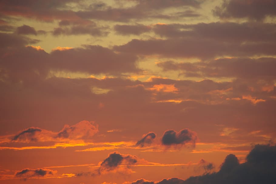 sunset, netherlands, ameland, evening, cloud - sky, beauty in nature HD wallpaper