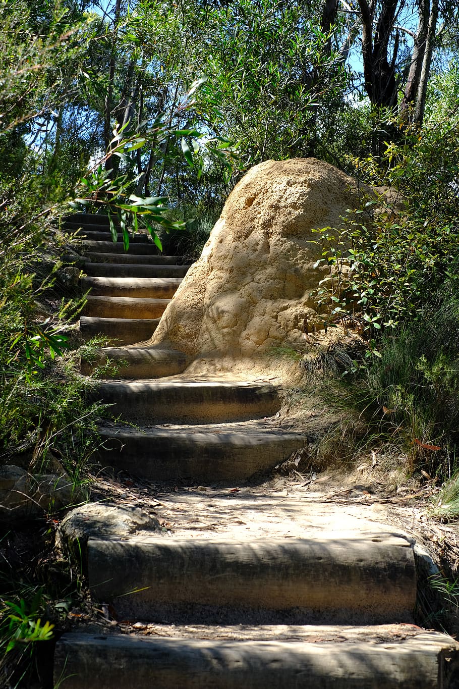 trail, away, gradually, stairs, blue mountains, national park HD wallpaper