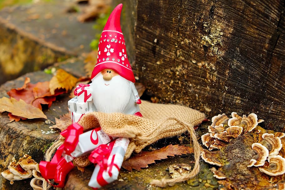 Close-up of Christmas Decoration, advent, blur, celebration, fig HD wallpaper