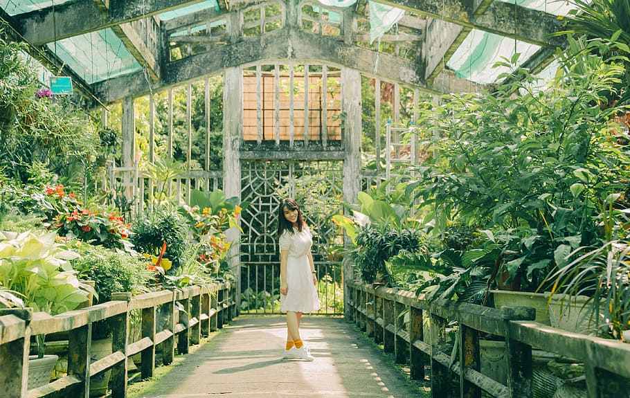 Woman Standing Inside Green House, architecture, building, daylight HD wallpaper