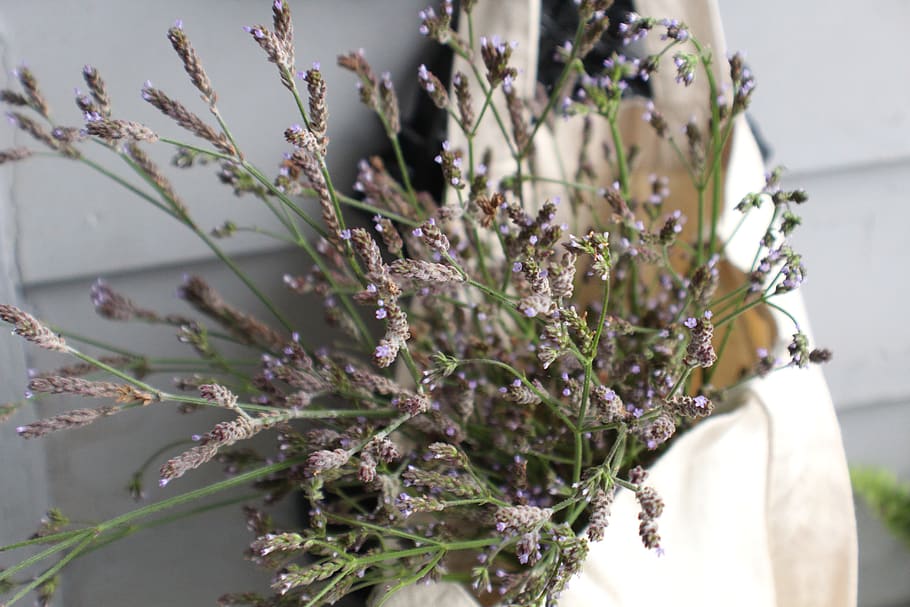 wildflower, purple, tiny, small, bouquet, bag, canvas, fabric HD wallpaper