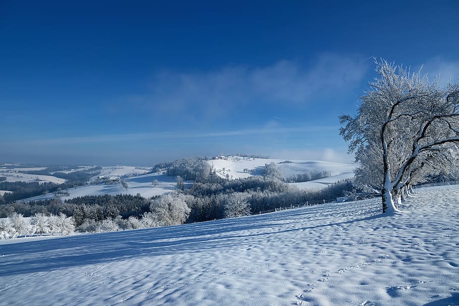 landscape, nature, winter, wintry, snow, vision, cold temperature HD wallpaper