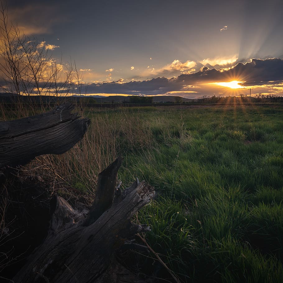 sun, sky, field, sunrays, clouds, mountains, landscape, plant HD wallpaper