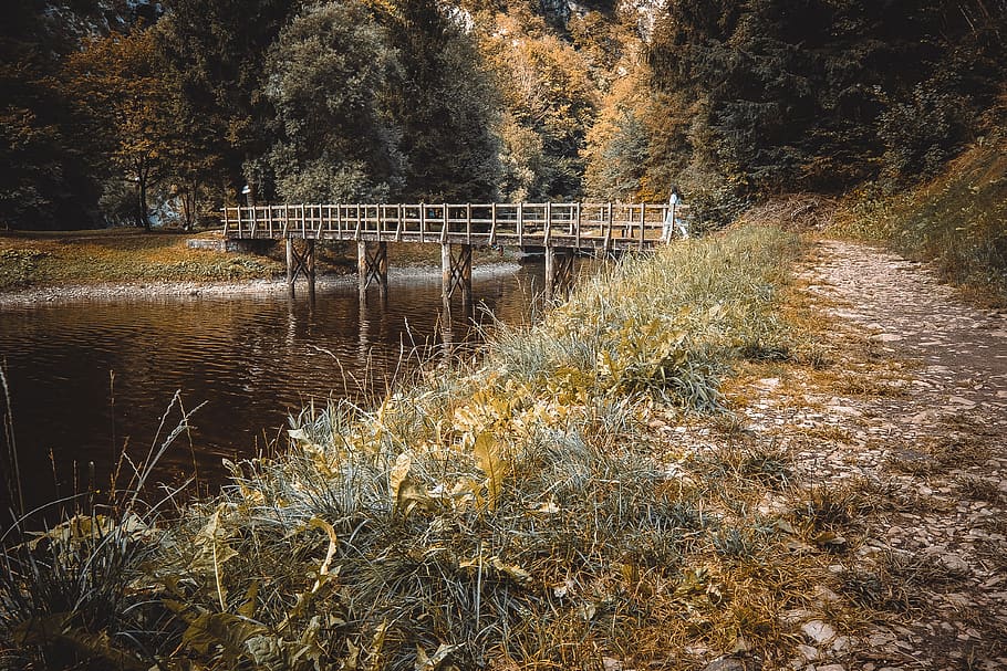 plant, grass, building, bridge, boardwalk, water, lawn, waterfront HD wallpaper