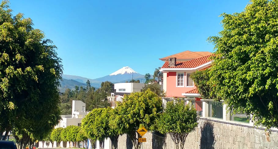 ecuador, quito, tree, architecture, plant, building exterior HD wallpaper