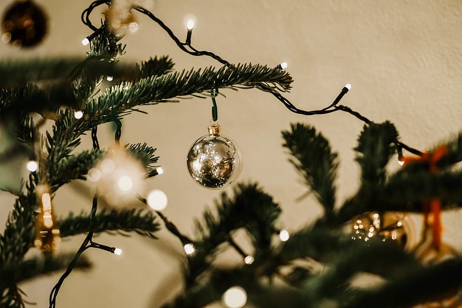 gray bauble, tree, plant, ornament, abies, fir, christmas tree, HD wallpaper