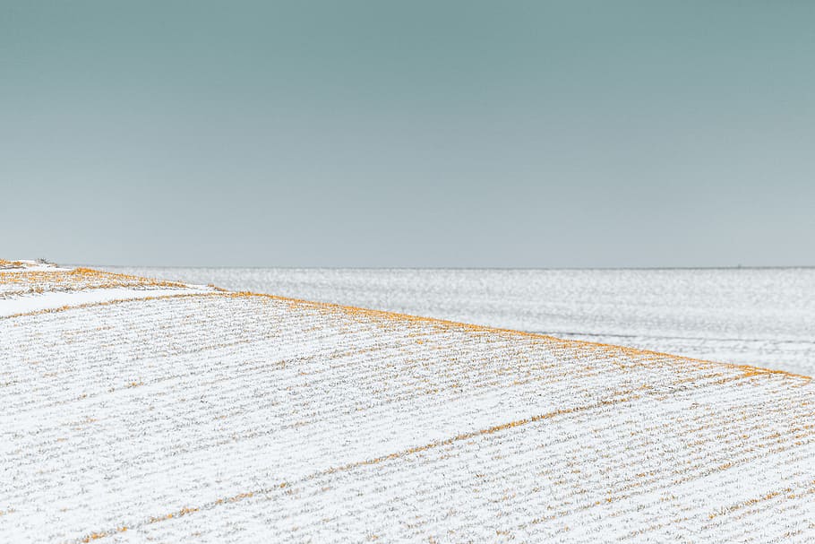 winter, snow, frozen, grass, field, sky, line, white, farmland, HD wallpaper