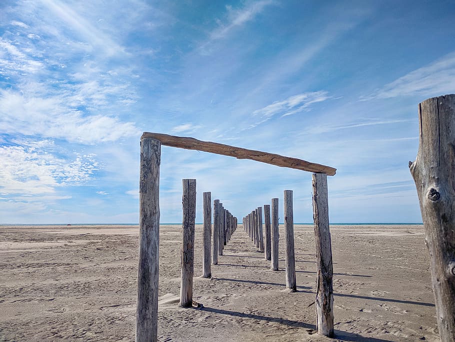 gray tree logs in desert, water, waterfront, dock, pier, port HD wallpaper