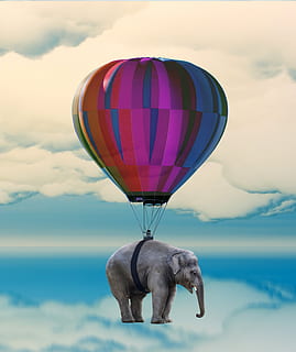 elephant, balloon, flying, weightless, hot air balloon ride HD wallpaper