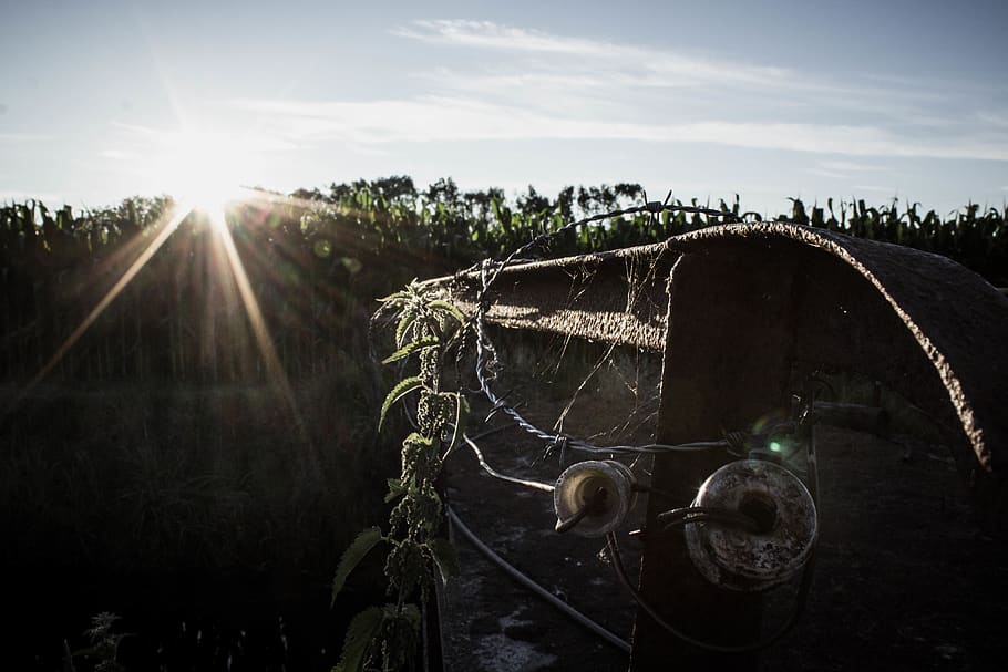 fance, wired, corn, corn field, cornfield, clouds, sky, clearsky HD wallpaper