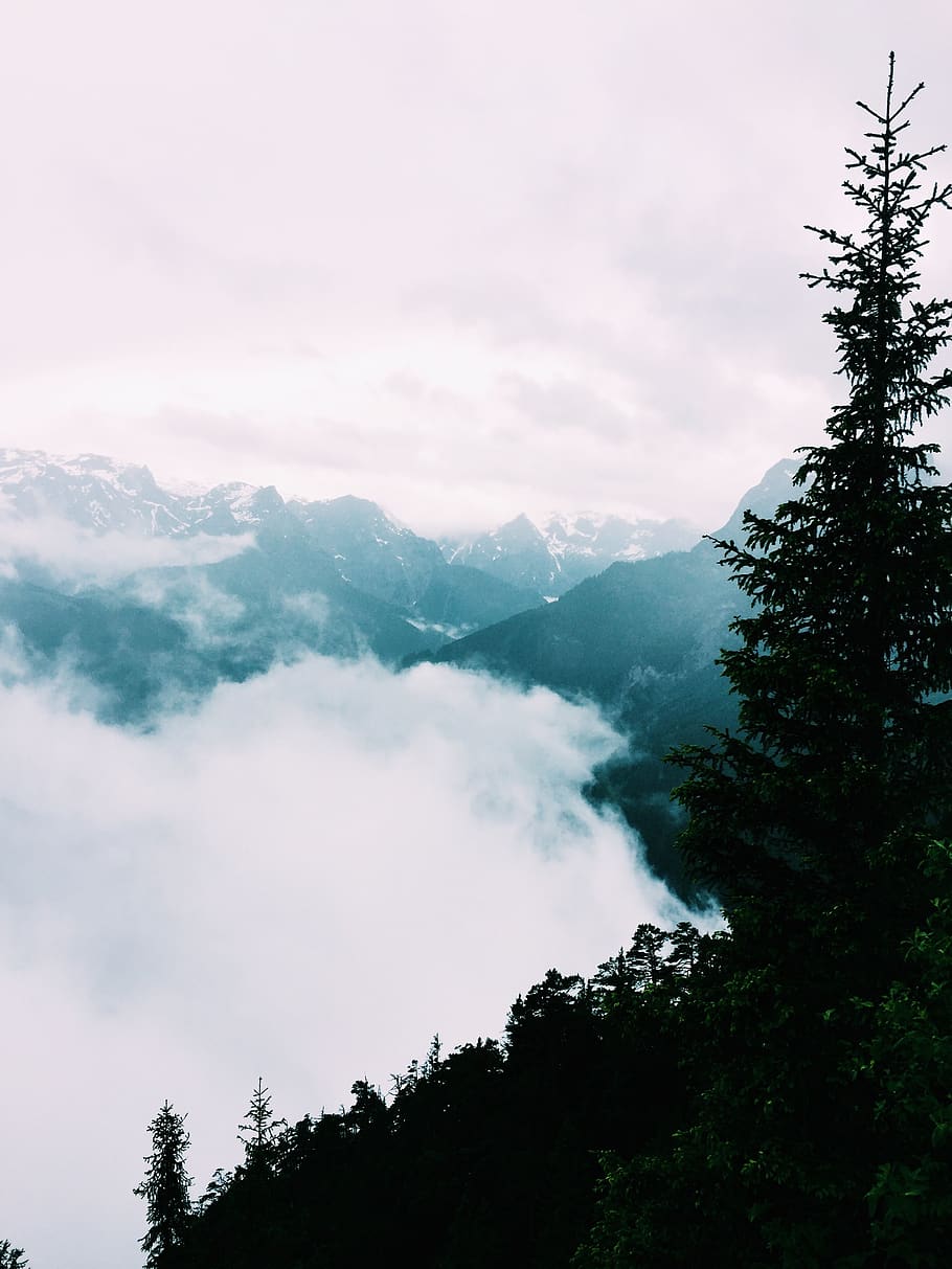 austria, werfen, eishöhlenstraße 32, moutain, trees, clouds HD wallpaper