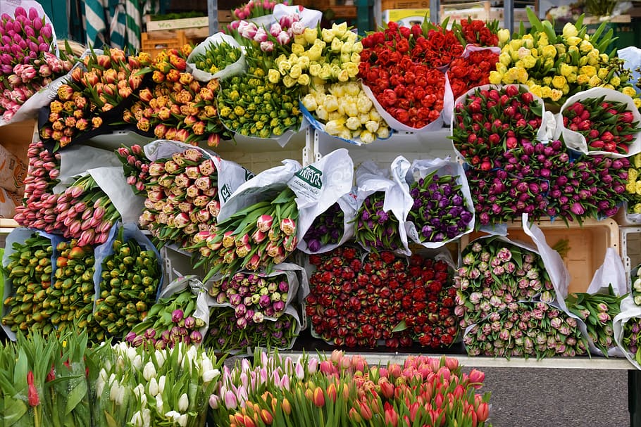 Selective Focus Photography of Assorted Flowers, abundance, bundles, HD wallpaper