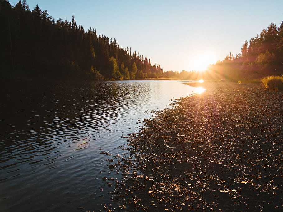 river in between trees, light, flare, nature, outdoors, water HD wallpaper