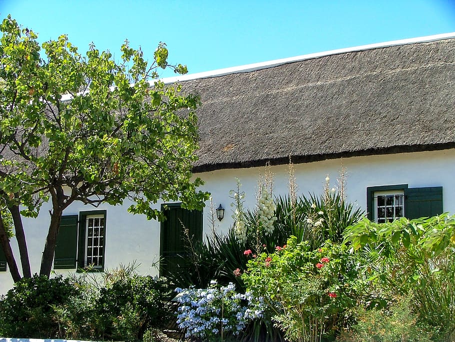 white concrete house, cottage, housing, building, outdoors, nature HD wallpaper