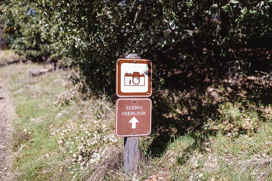 communication, sign, plant, day, text, no people, tree, land HD wallpaper