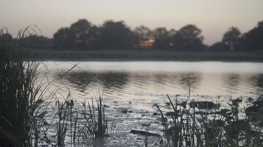 sunset, river, reed, landscape, twilight, reflection, clouds HD wallpaper