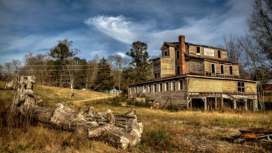 abandoned, trees, house, country, nature, vintage, architecture HD wallpaper