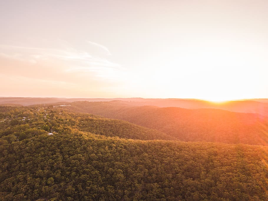 sun shining over forest, sky, sunrise, scenery, dawn, red sky HD wallpaper