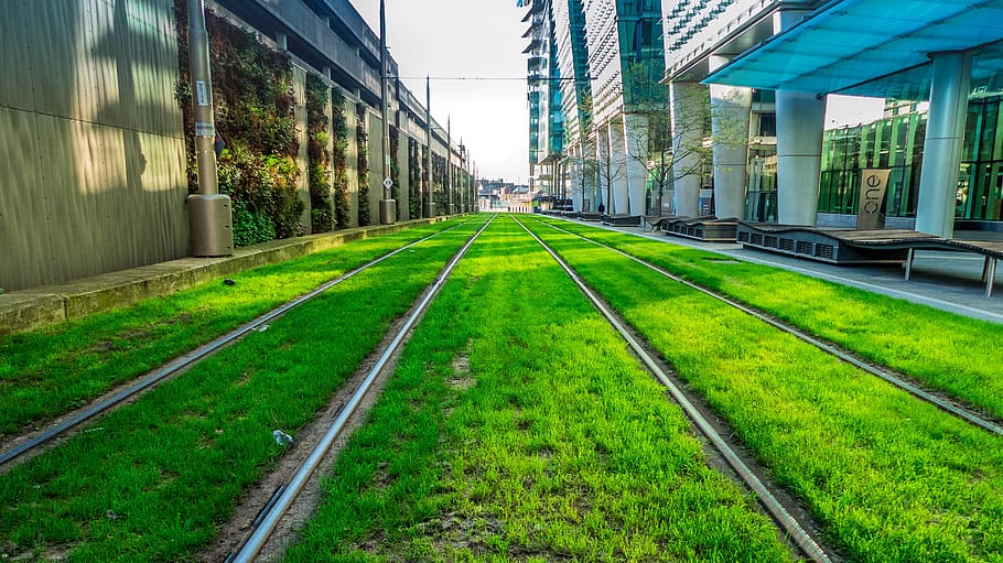 tram, tramway, green, grass, building, sunset, sunrise, day HD wallpaper