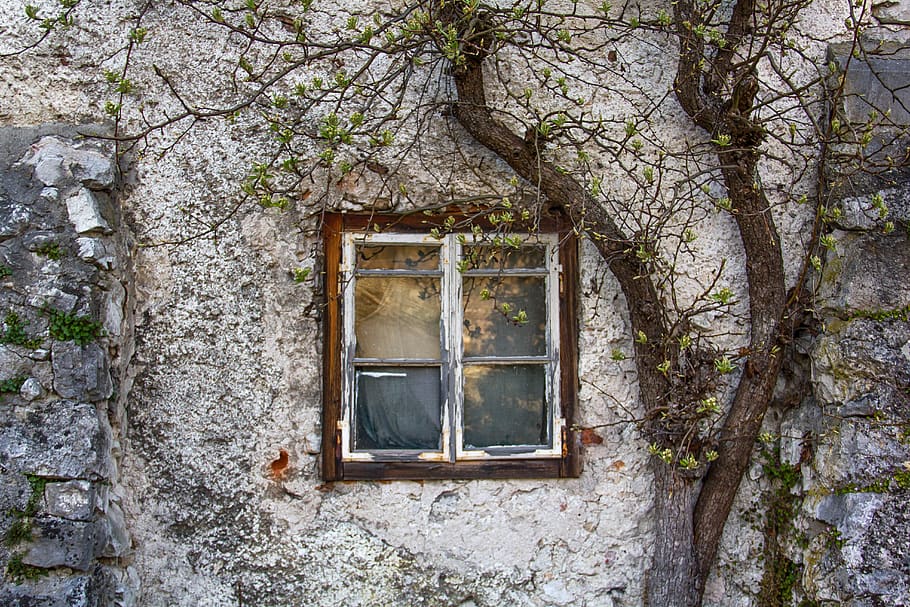 window, house, little, old, building, architecture, wall, tree HD wallpaper