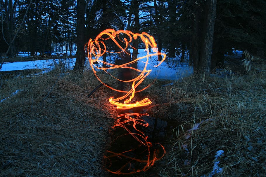 fire, longexposure, pattern, tree, land, plant, nature, forest HD wallpaper