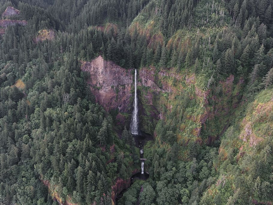 waterfalls at the mountains, tree, plant, beauty in nature, scenics - nature HD wallpaper