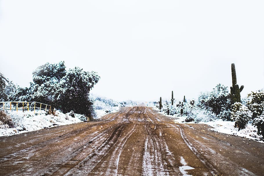 empty asphalt road, dirt road, plant, tree, gravel, ground, outdoors HD wallpaper