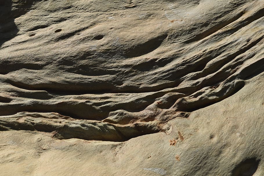 bark, tree, eucalyptus, rock, rock formation, rock - object HD wallpaper