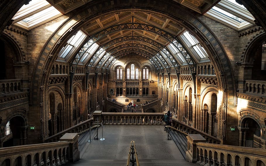 museum, old, construction, architecture, building, keep, human HD wallpaper