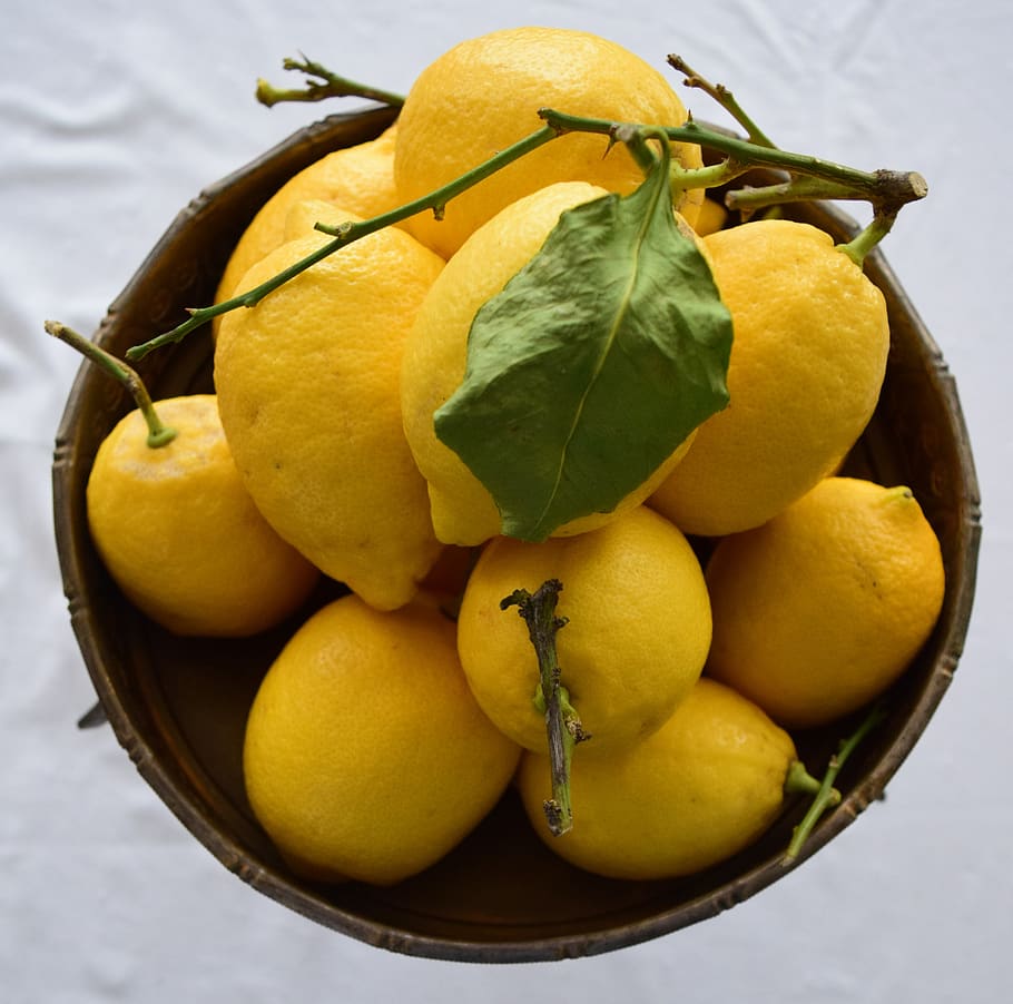 lemon, fruit, bowl, food, healthy eating, food and drink, close-up HD wallpaper