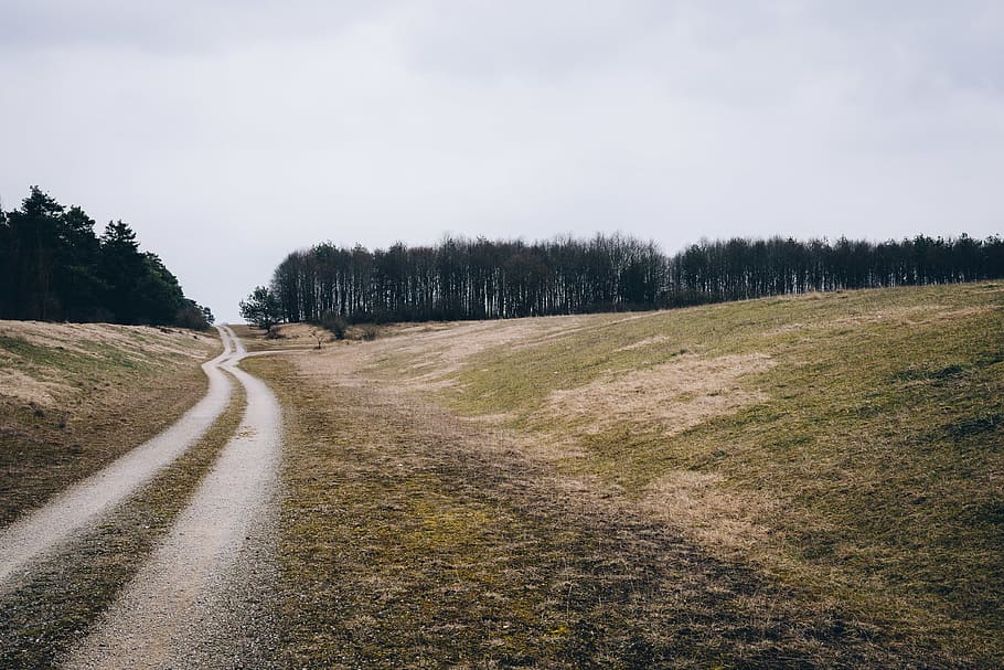pathway between green grass, road, dirt road, trees, germany HD wallpaper