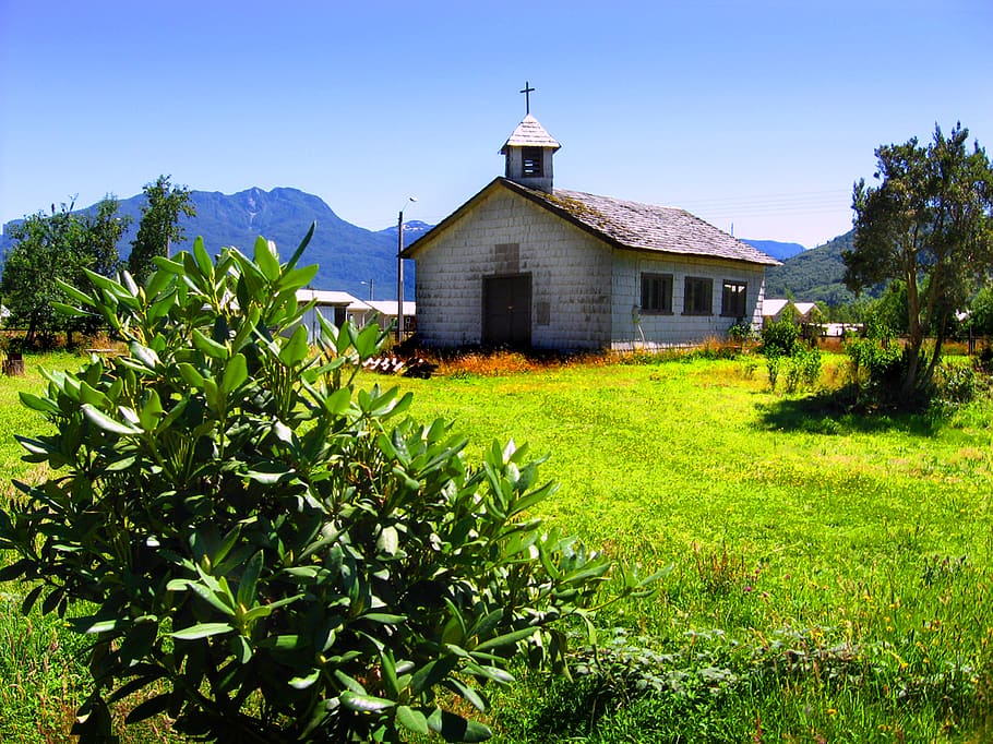 chile, x región, puelo, verde, madera, church, campo, field