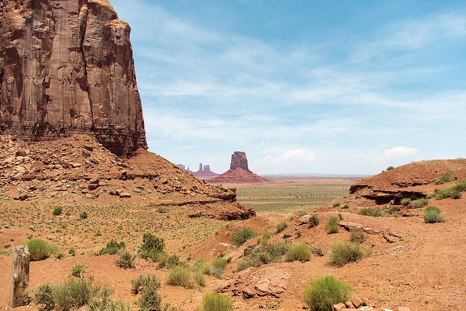 Natures america. Национальный парк Долина монументов. Обелиски в пустыне с советами. Arizona famous animals. What is Arizona famous for animals.